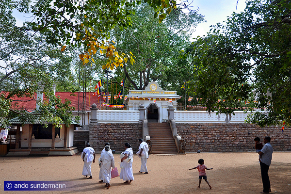 Bo-Tree in Anuradhapura